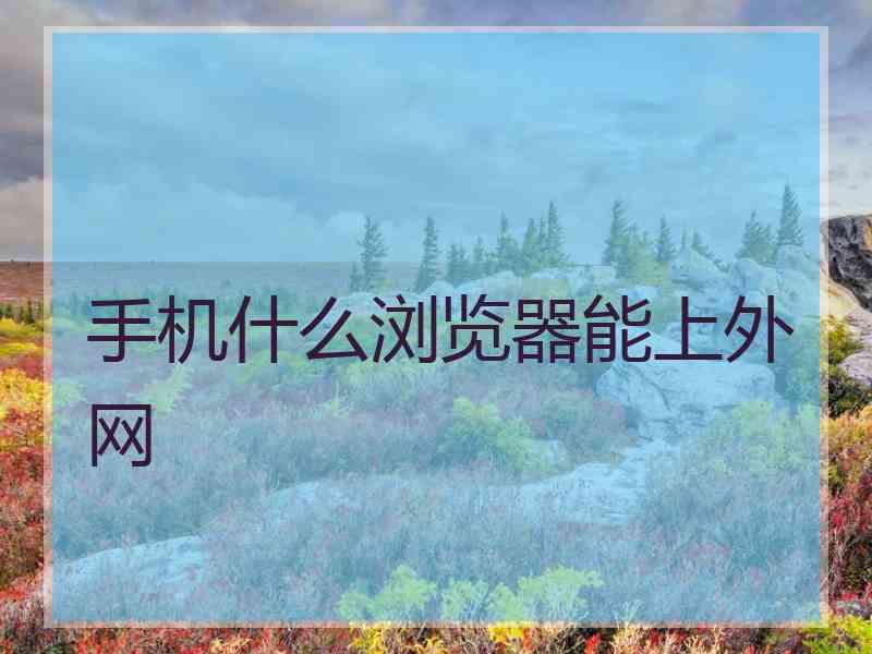 手机什么浏览器能上外网