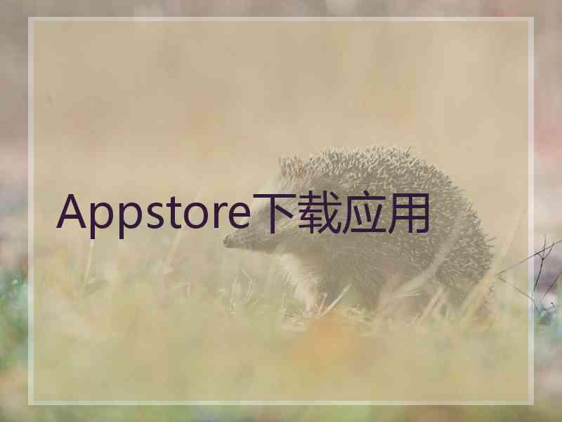Appstore下载应用