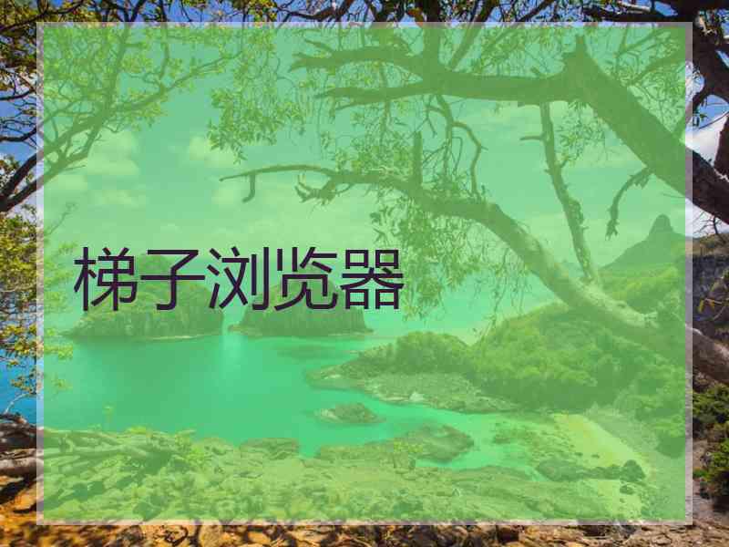 梯子浏览器