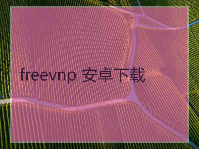 freevnp 安卓下载