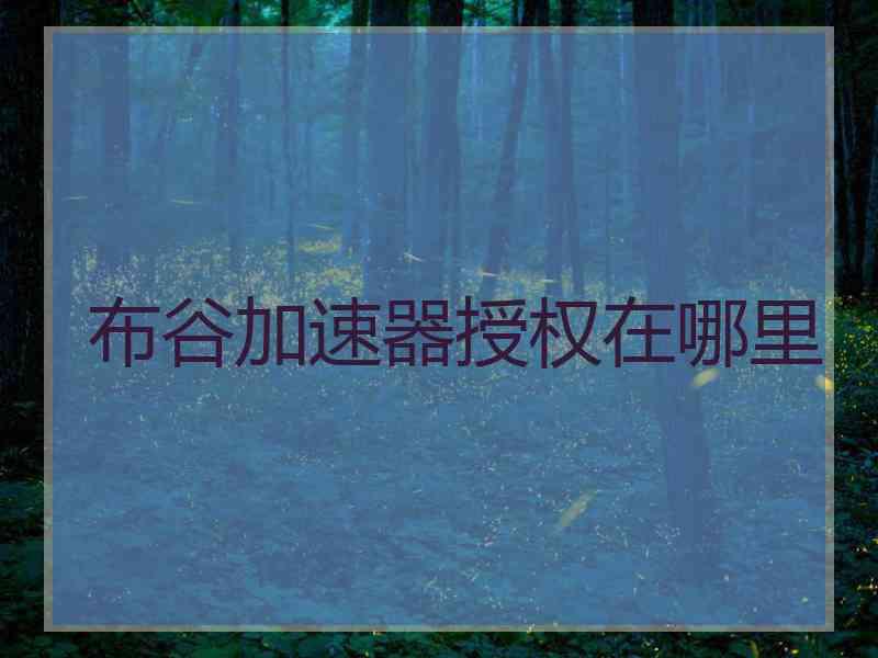 布谷加速器授权在哪里