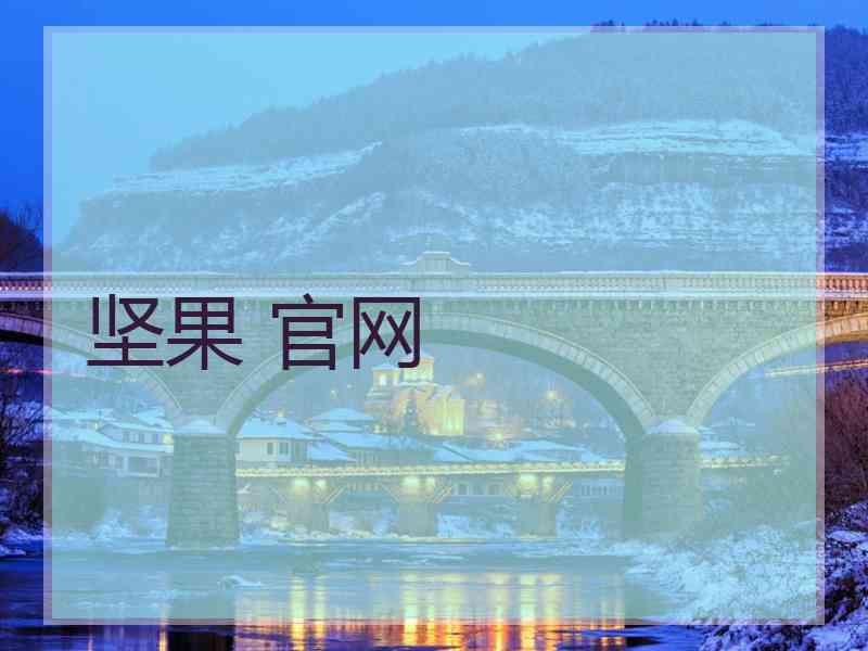 坚果 官网