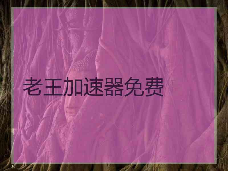 老王加速器免费
