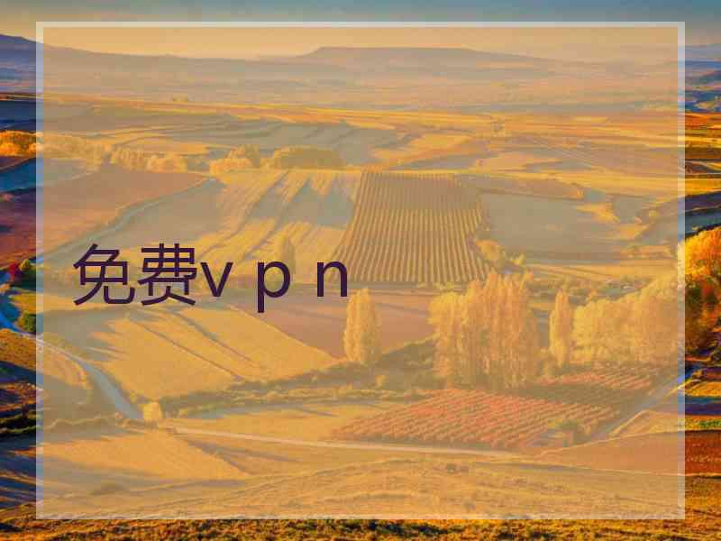 免费v p n