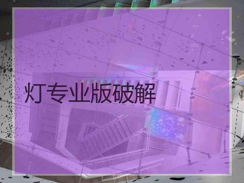 灯专业版破解