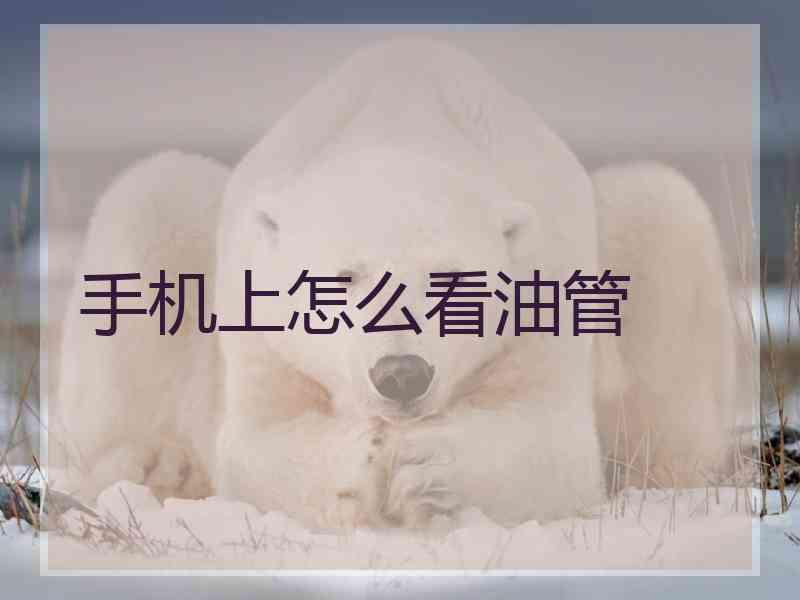 手机上怎么看油管