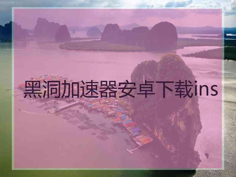 黑洞加速器安卓下载ins