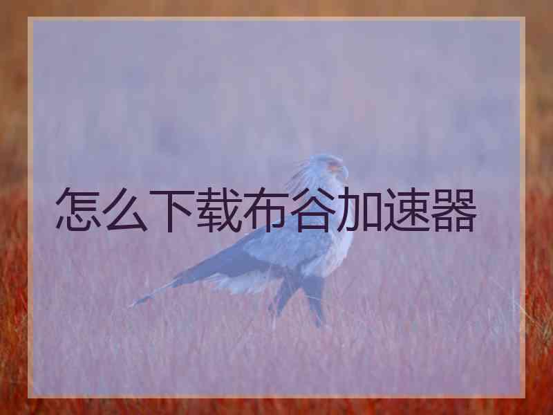 怎么下载布谷加速器