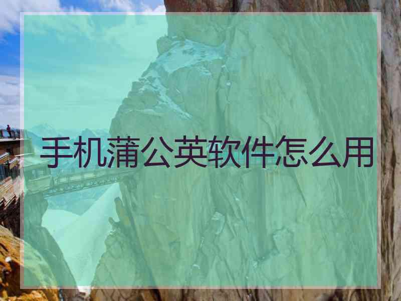 手机蒲公英软件怎么用