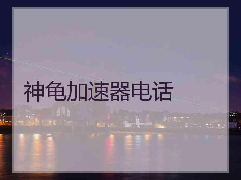 神龟加速器电话