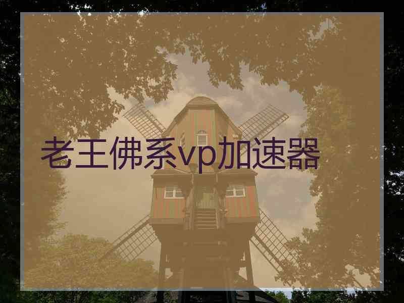 老王佛系vp加速器