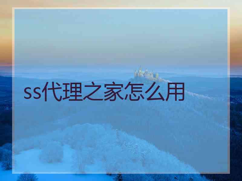 ss代理之家怎么用