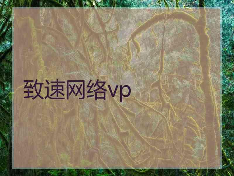 致速网络vp