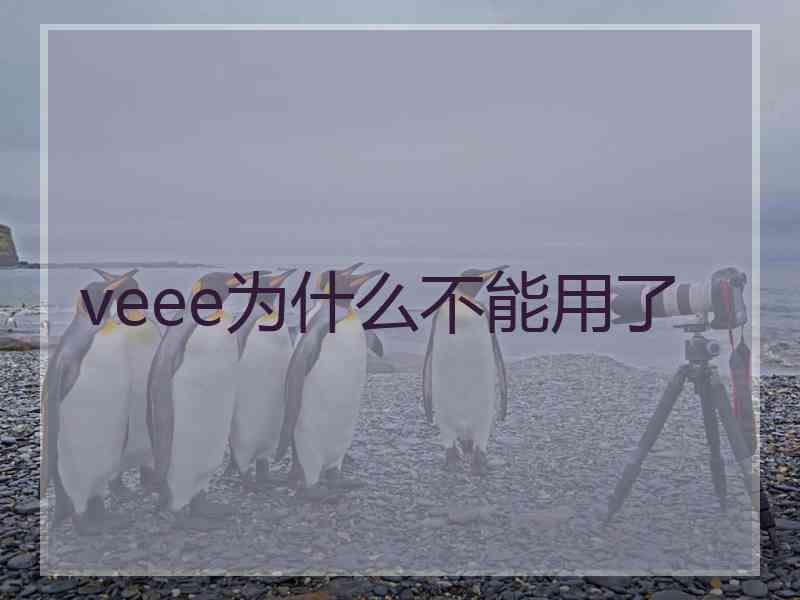 veee为什么不能用了