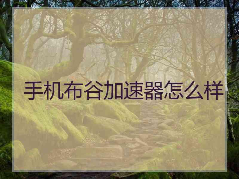 手机布谷加速器怎么样