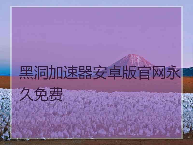 黑洞加速器安卓版官网永久免费
