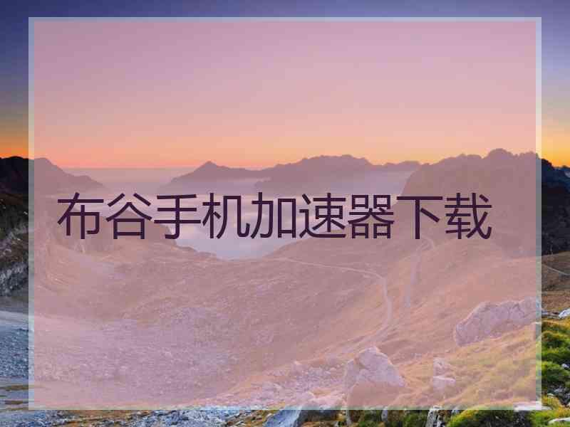 布谷手机加速器下载