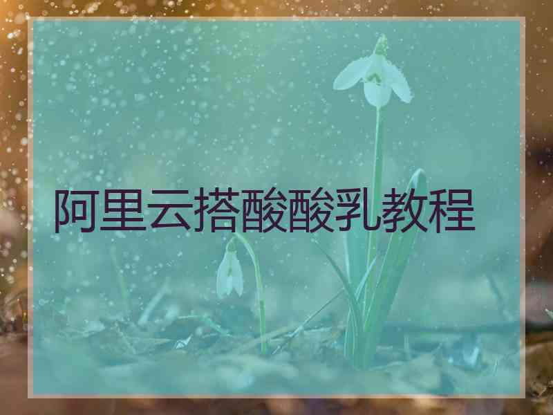阿里云搭酸酸乳教程