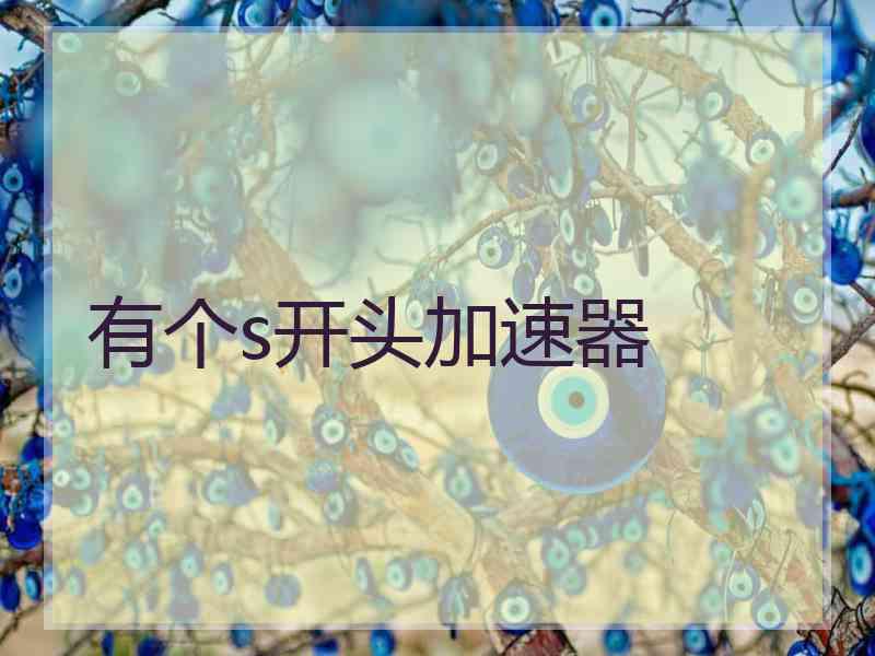 有个s开头加速器