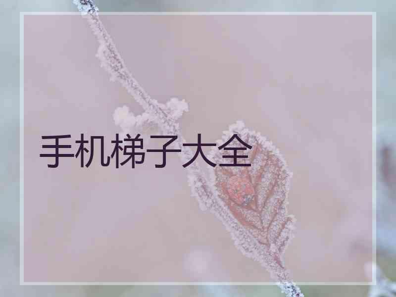 手机梯子大全