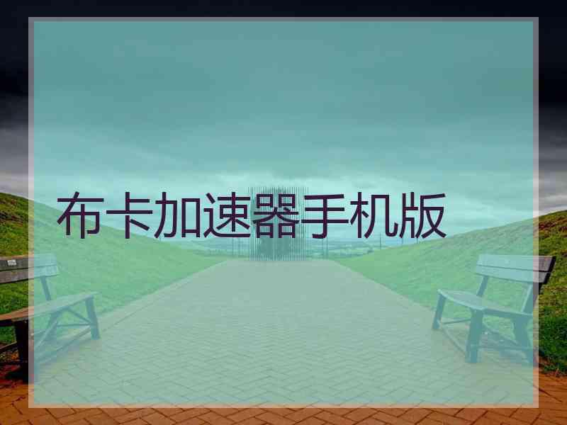 布卡加速器手机版