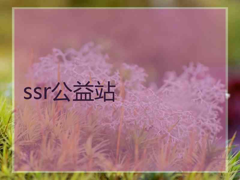 ssr公益站
