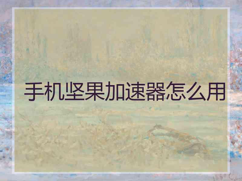 手机坚果加速器怎么用