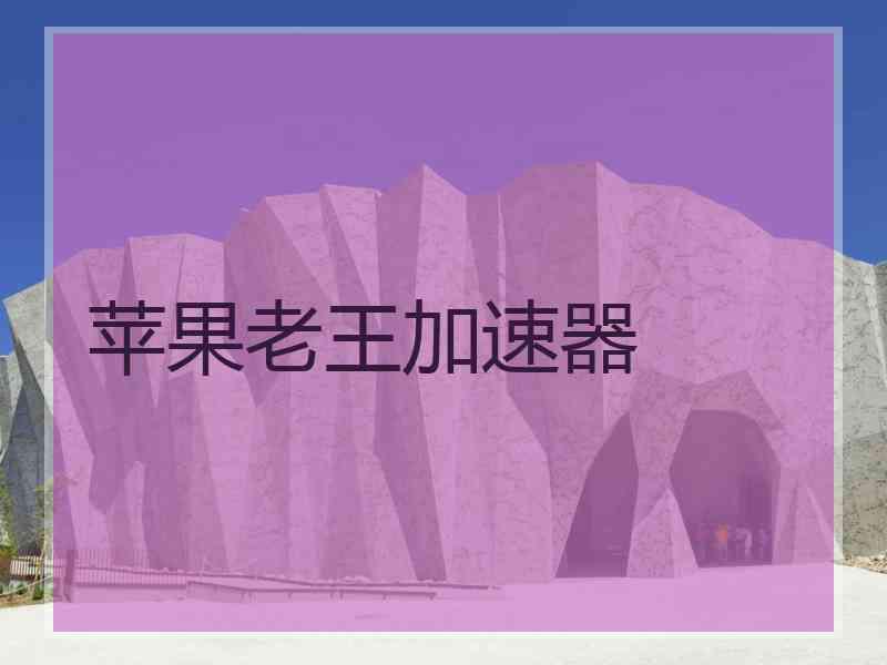 苹果老王加速器