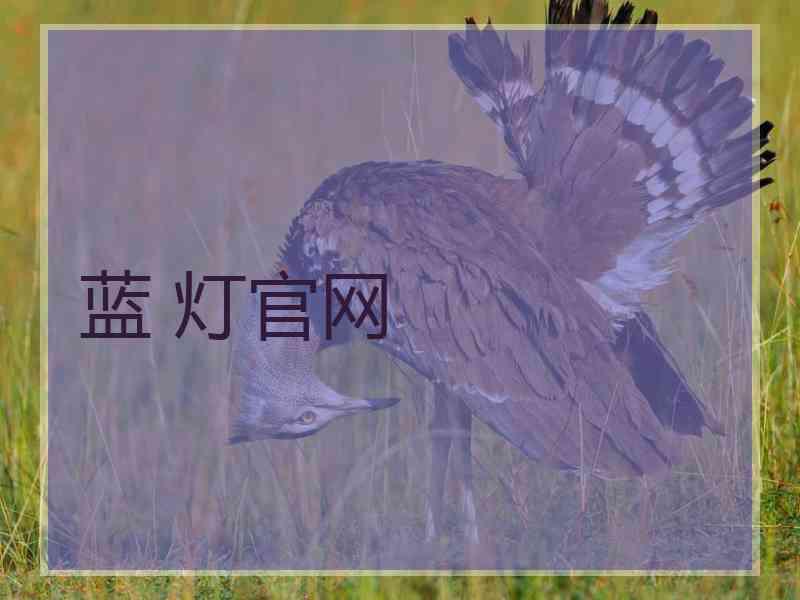 蓝 灯官网