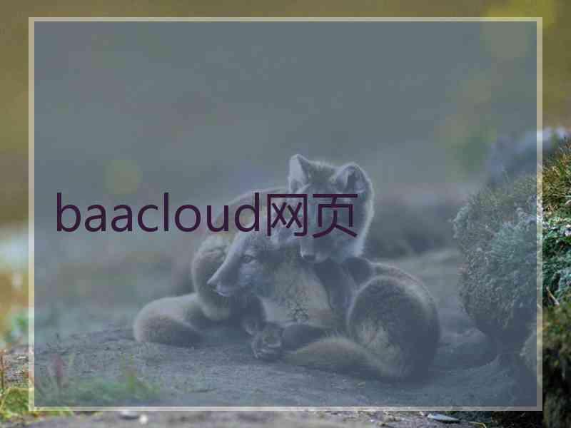 baacloud网页