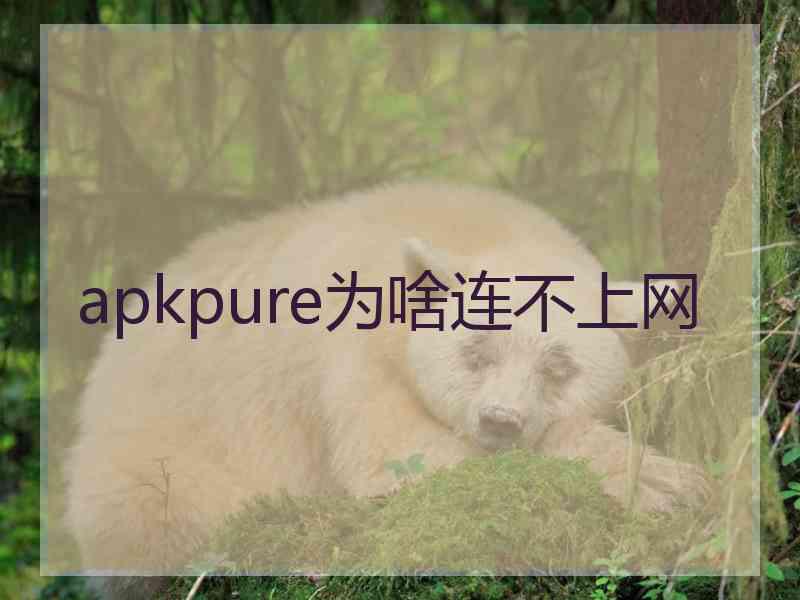 apkpure为啥连不上网