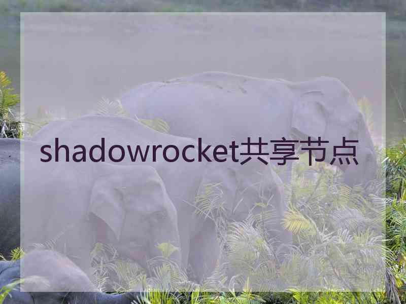 shadowrocket共享节点