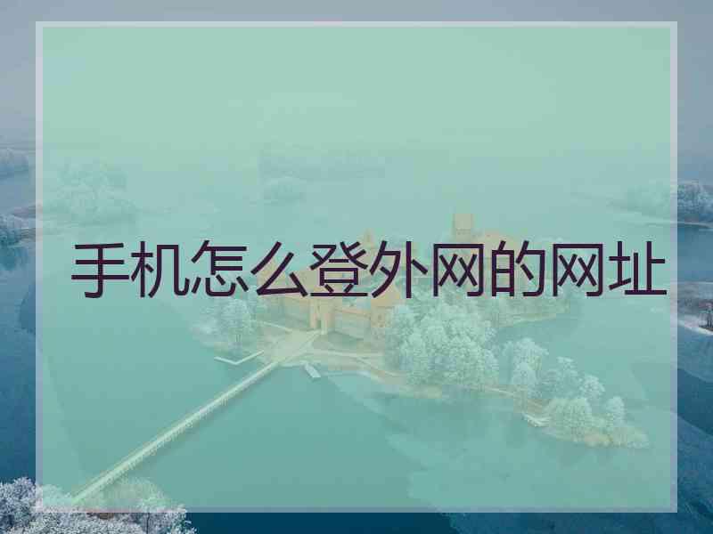手机怎么登外网的网址