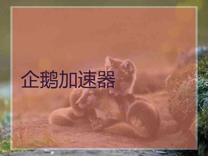 企鹅加速器