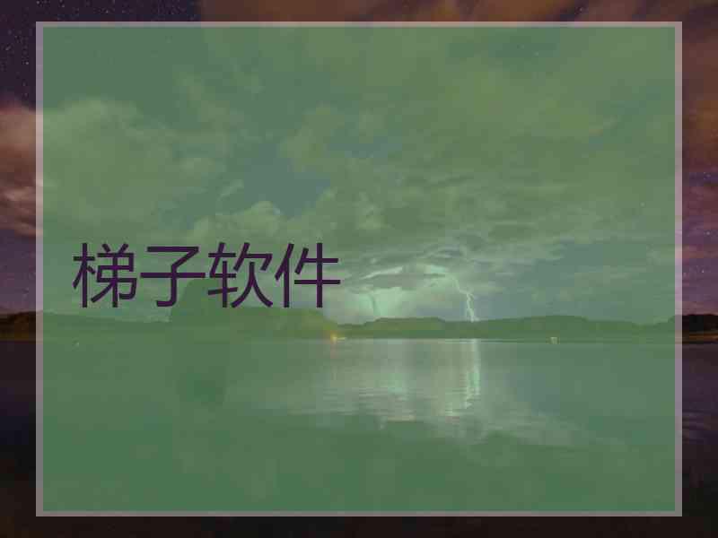 梯子软件