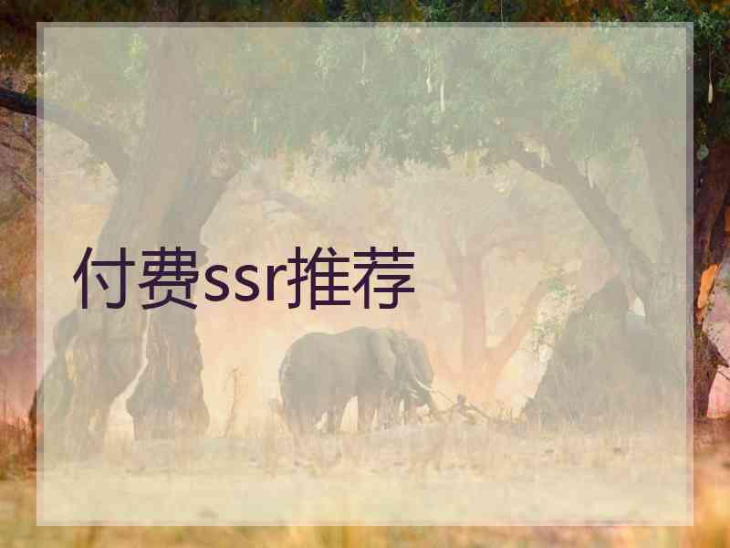 付费ssr推荐