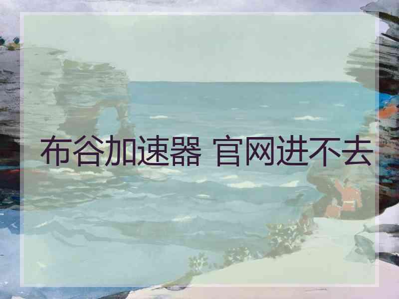 布谷加速器 官网进不去