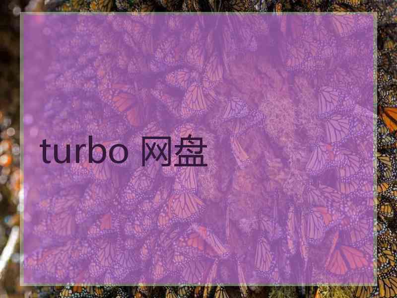 turbo 网盘