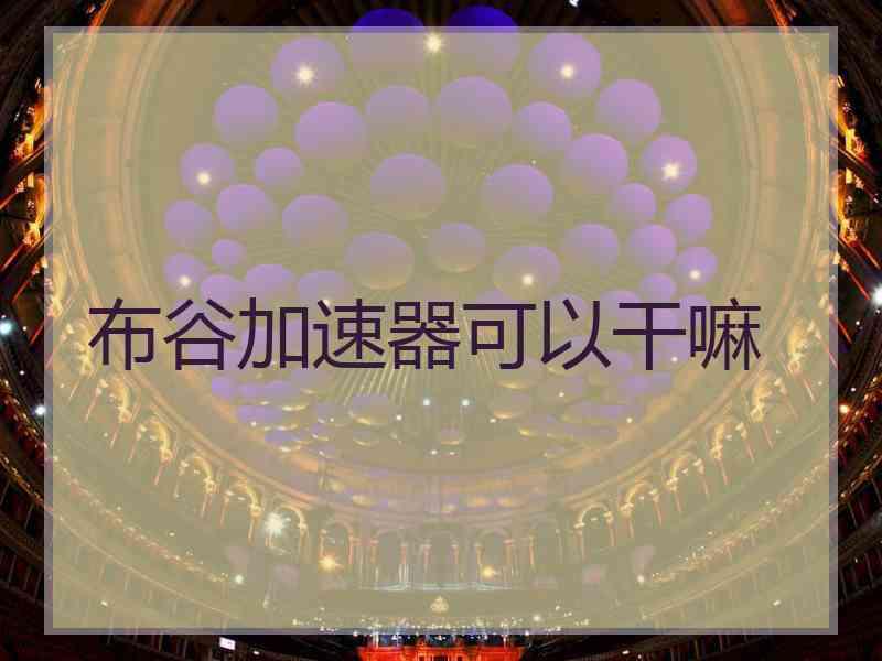 布谷加速器可以干嘛