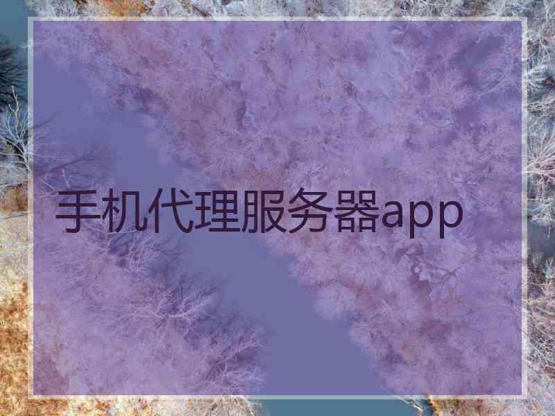 手机代理服务器app