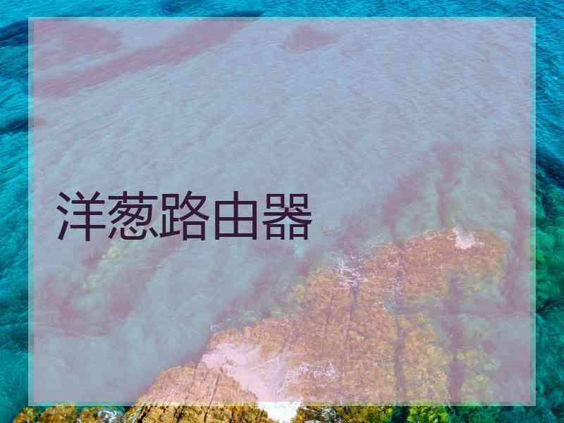 洋葱路由器