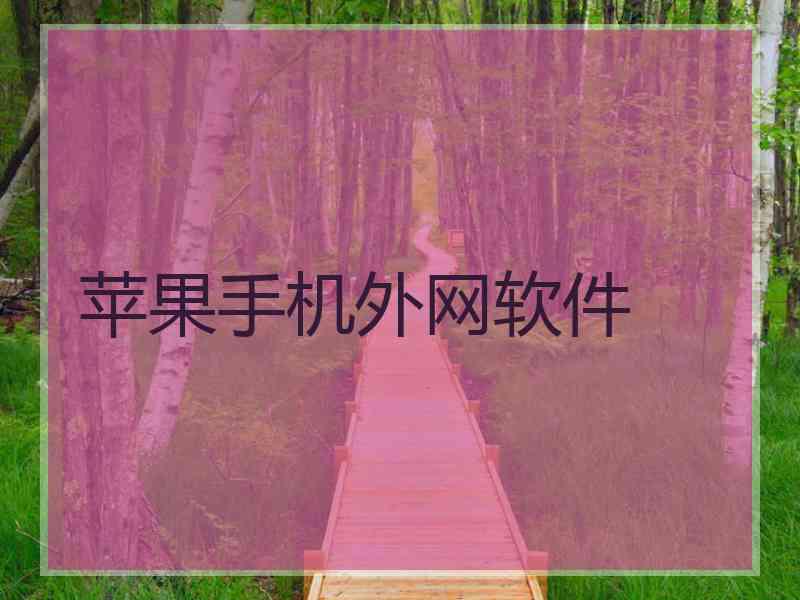 苹果手机外网软件