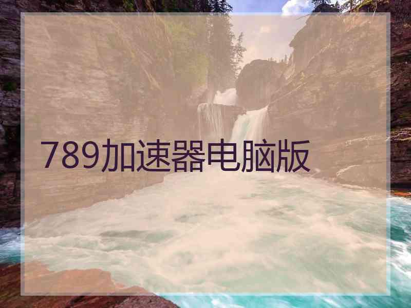 789加速器电脑版