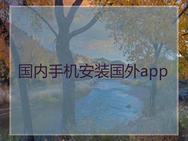 国内手机安装国外app