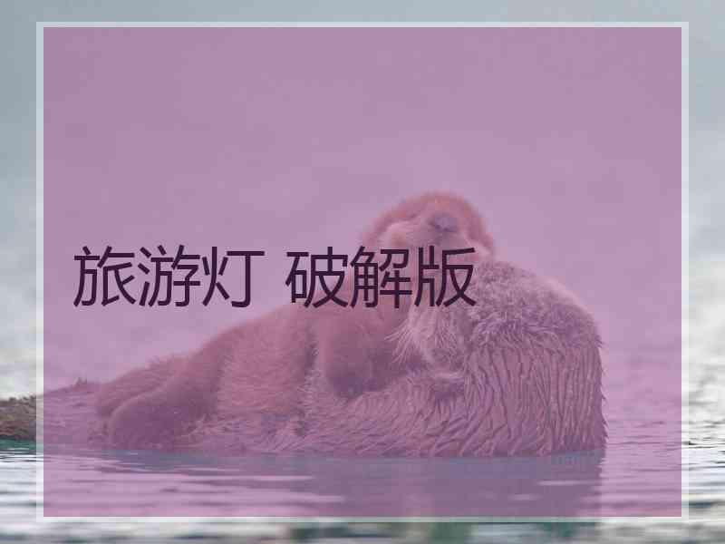 旅游灯 破解版
