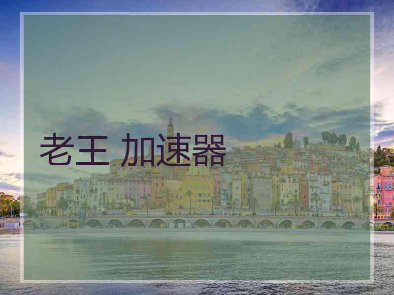 老王 加速器