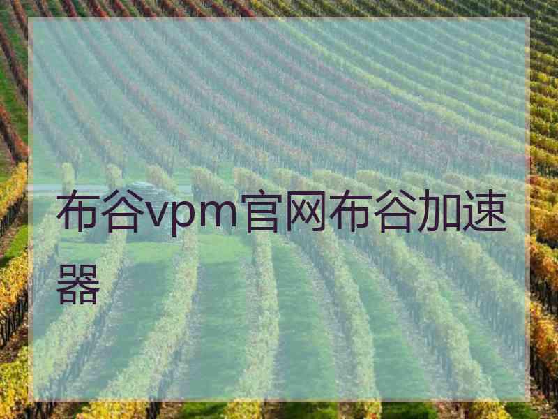 布谷vpm官网布谷加速器