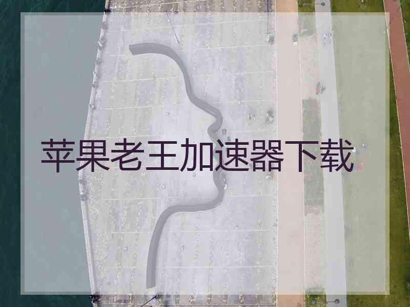 苹果老王加速器下载