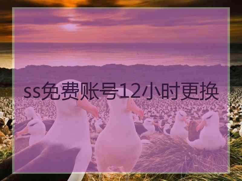 ss免费账号12小时更换