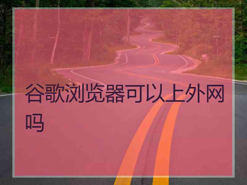 谷歌浏览器可以上外网吗